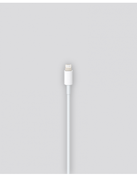Cabo USB-C para Lightning (1m)