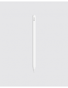 Apple Pencil 2ª geração