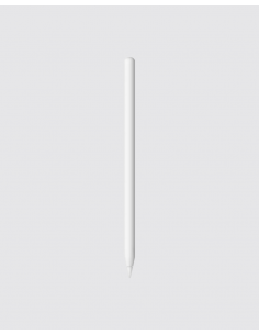 Apple Pencil 2ª geração 2