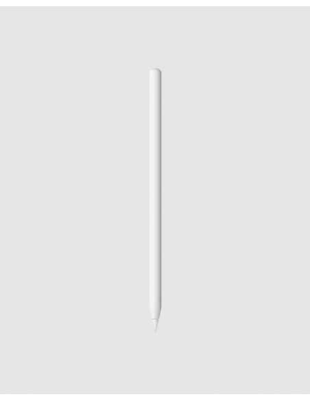 Apple Pencil 2ª geração